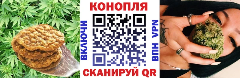 Canna-Cookies марихуана Урус-Мартан