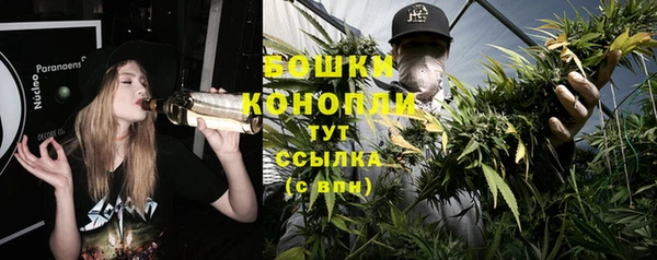 молекула духа Краснотурьинск